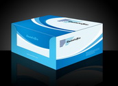 厂家定做医药包装盒 药品包装盒 白卡纸盒 灰卡纸盒生产